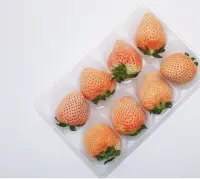 日本草莓品种介绍，淡雪/甘王/红脸颊/栃木少女品种草莓特点