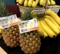 推动农业区块链技术与推进产业创新，助力台湾香蕉外销日本