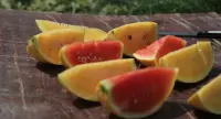 露地西瓜新品种黄金瓜西瓜，黄金瓜西瓜两种瓜瓤颜色是什么