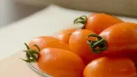 小番茄品种介绍-橙香蜜番茄，橙蜜香小番茄形状与口感特点描述