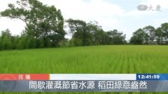 农试所间歇灌溉法 种稻省水增产有成