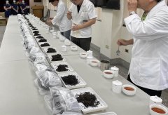 台湾新北蜜香红茶评比开奖 三峡百年茶厂获特等